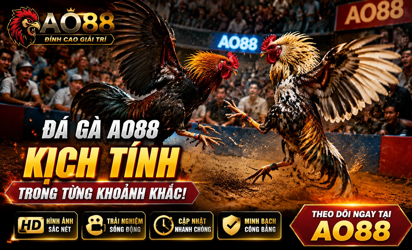 AO88 Đá Gà – Trận đá gà sôi động, thưởng ngay 158K